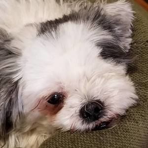 Meet your Posher, Rhonda